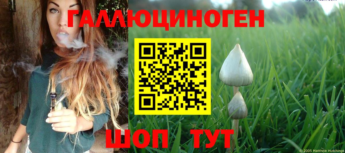 Псилоцибиновые грибы ЛСД  Вход с VPN  Рассказово 